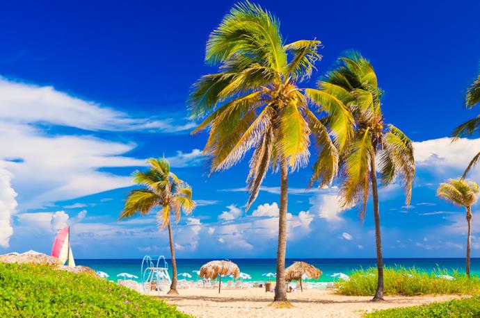 Spiaggia cubana con palme e vele all'orizzonte
