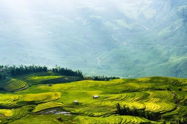 Risaie e minoranze etniche: che cosa vedere a Sapa