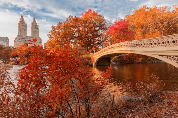 Central Park e la magia del foliage newyorkese