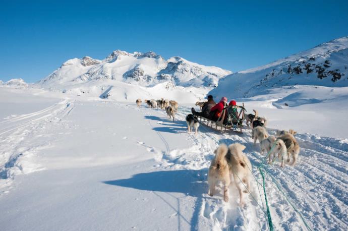 Slitte trainate da cani in Groenlandia