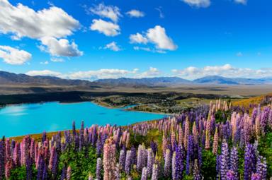 Nuova Zelanda, la terra delle meraviglie: 5 motivi per partire