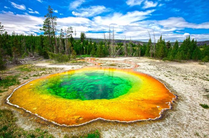 Parco nazionale Yellowstone negli Usa: un geyser
