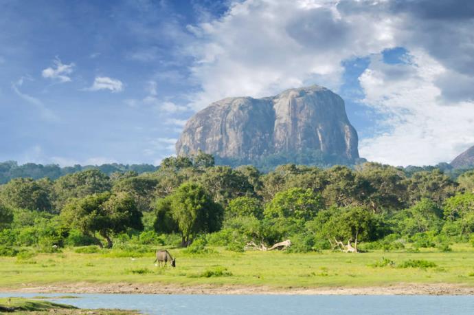Vista montuosa del Parco nazionale di Yala, Sri Lanka