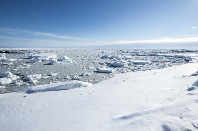 Distesa di ghiaccio in Groenlandia