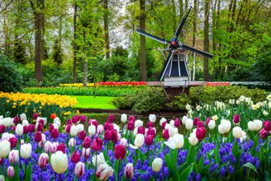 I 10 giardini più belli d'Europa da visitare in primavera