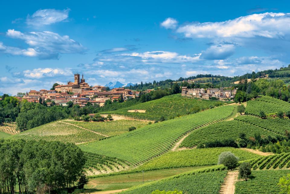 Il Piemonte e le sue vigne nelle Langhe