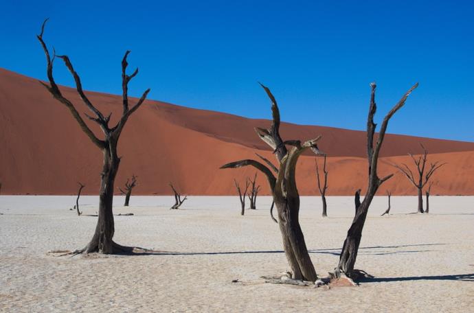 Depressione di Deadvlei in Namibia