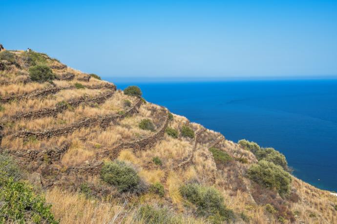 Uno scorcio di antichi terrazzamenti a Pantelleria