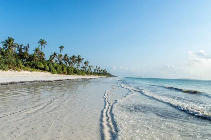 Spiaggia con palme a Zanzibar