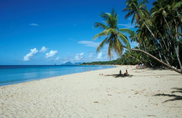 Caraibi, una spiaggia di Martinica