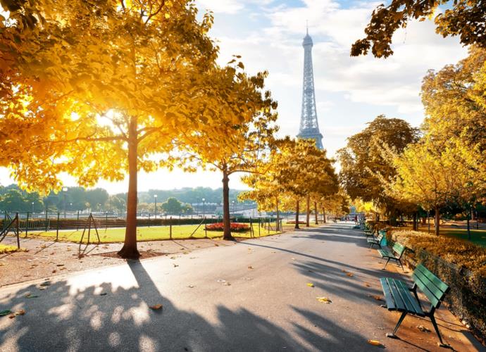 Viale di Parigi vicino alla Tour Eiffel con alberi dalle foglie color oro.