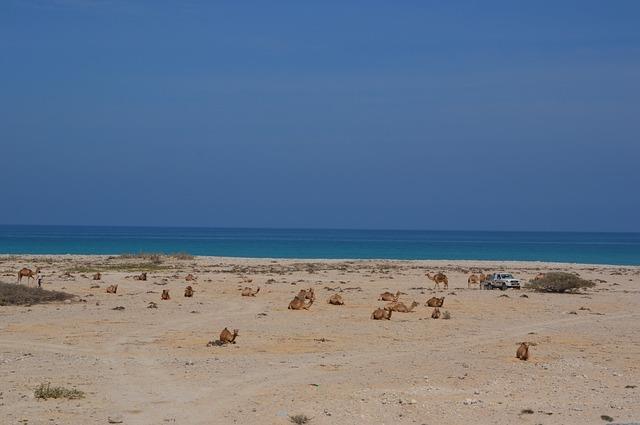 Spiaggia Oman