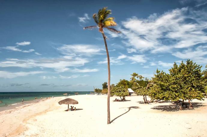 Palme e alberi sulla spiaggia di Guardalavaca, Cuba