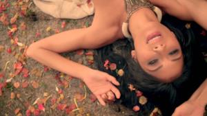► Nicole Scherzinger - Try With Me (new video 2011)