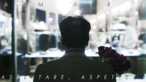 Amari  - Aspettare, Aspetterò (video ufficiale e testo)