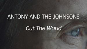 Antony and the Johnsons - Cut the World (Video ufficiale e testo)