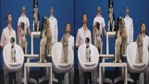 OK Go - White Knuckles - 3D Video