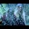 First Aid Kit - The Lion's Roar (Video ufficiale e testo)