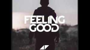 Avicii - Feeling Good