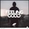 Avicii - Feeling Good
