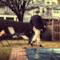 Gavin DeGraw - Sweeter [Video ufficiale e testo]