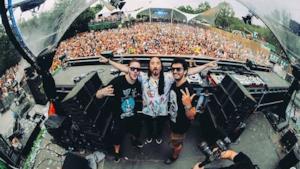 Steve Aoki LIVE @ Tomorrowland 2015 Dim Mak Stage