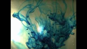 Baths - Aminals (Video ufficiale e testo)