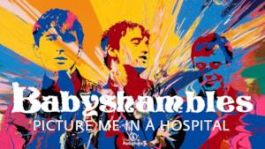 Babyshambles - Picture Me In A Hospital | audio e testo