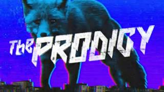 The Prodigy - The Day Is My Enemy (LH Edit)