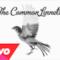 The Common Linnets - Before Complete Surrender (Video ufficiale e testo)
