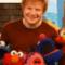 Ed Sheeran canta Two Different Worlds a Sesame Street (video)