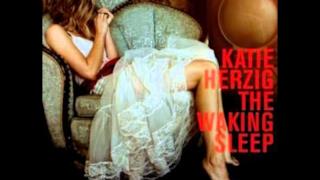 Katie Herzig - Best Day Of Your Life (Audio e testo)