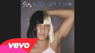 Sia - Bird Set Free (Video ufficiale e testo)