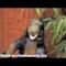 The Black Keys - Tighten Up (Video ufficiale e testo)
