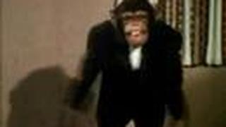 Caparezza - Bonobo Power (Video ufficiale e testo)