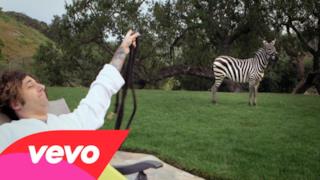 Fall Out Boy - Uma Thurman (Video ufficiale e testo)