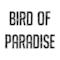 Netsky - Bird of Paradise (Video ufficiale e testo)