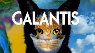 Galantis - You (Video ufficiale e testo)