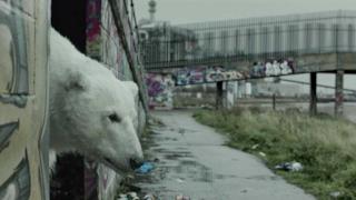 Orso polare cerca casa a Londra - Jude Law e Radiohead [VIDEO]