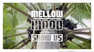 Mellow Mood - Show Us (Audio e testo)