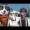 One Direction come cani: Kiss You diventa Lick You [VIDEO]