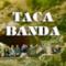 Ligabue - "Taca banda" (estratto da "Arrivederci, Mostro!")