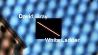 David Gray - Silver Lining (Video ufficiale e testo)