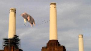 ► The pig flies over Battersea - Pink Floyd remastered albums come out