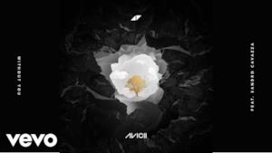 Avicii - Without You (feat. Sandro Cavazza) (Video ufficiale e testo)