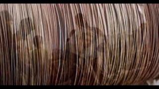 Pino Daniele - Il Sole Dentro Di Me (Video ufficiale e testo)