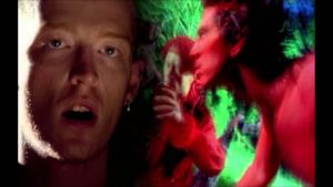 Levellers - This Garden (Video ufficiale e testo)