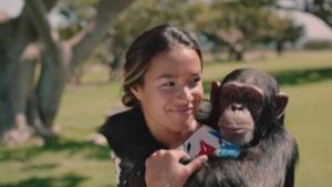 Steve Aoki - Can't Go Home feat. Adam Lambert (Video ufficiale e testo)