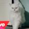 Katy Perry: il gatto fa Roar