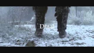 Headhunterz - Dragonborn (Original Mix) (Video ufficiale e testo)